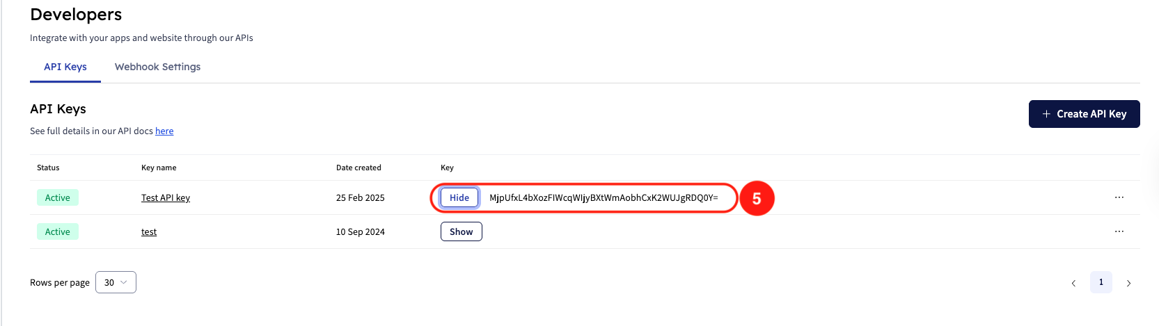 API 5.png